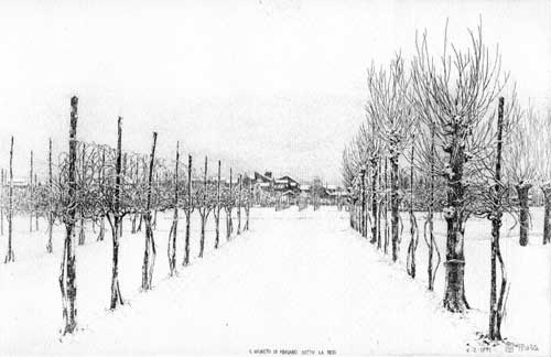 Il vigneto di Mariano sotto la neve - 1991