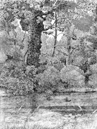 Sul Sile - 1989