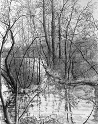 Paradiso sulla Storga - 1986