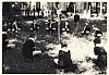 1964 BrPistaFelice -attivita in tana - Grande urlo in villa Margherita.jpg