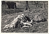 1964 GruppoTV2°-Clan LaQuercia - EserciziSpirituali - Monselice;SergioBotter.jpg