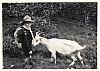 1966 BrPistaFelice-FioreRosso_VDB Arabba_uscita al Pordoi_Borrella e la capra.jpg