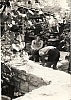 1967 VdBpistaFelice-FioreRosso_Schievenin_VVLL al lavoro.jpg