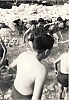 1967 VdBpistaFelice-FioreRosso_Schievenin_al bagno sul torrente.jpg