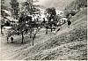 1967 VdBpistaFelice-FioreRosso_Schievenin_il terreno di gioco.jpg