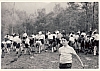 1967 sGiorgio Lupetti - Villa Reali - Casier_  lupetti all'inizio grande caccia).jpg