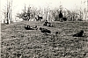 1968 BranchiPistaFelice-FioreRosso_uscita a Cornuda_momento di gioco_1.jpg