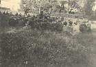 Lupetti-9.jpg
