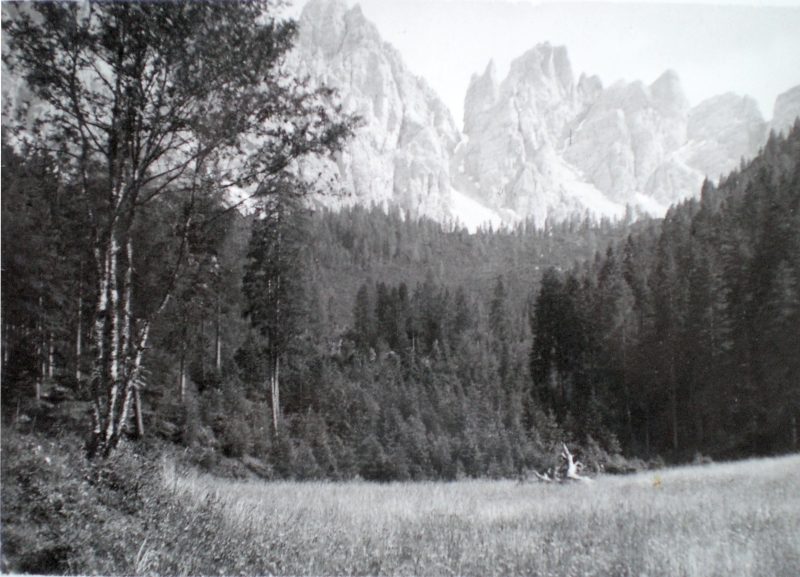 1955-rip-smdrovere-campo-domegge-gli-spalti-di-toro.jpg