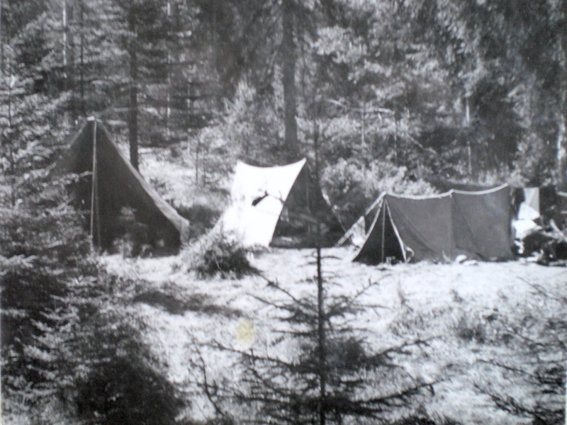 1955-rip-smdrovere-campo-domegge-tende-dei-capi.jpg