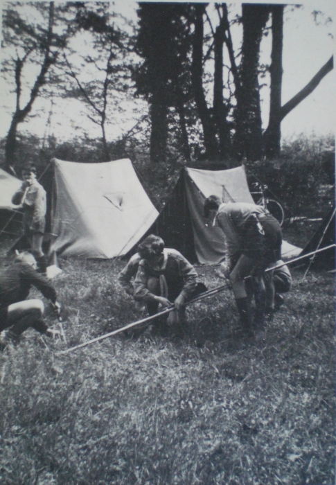 1955-rip-smdrovere-san-giorgio_sq-castori-al-lavoro.jpg
