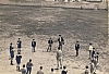 1956_BrancoFioreRosso_giocoConCuccioli.jpg