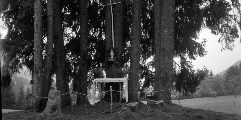 1956_Croce d'Aune-altare.jpg