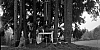 1956_Croce d'Aune-altare.jpg