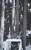 1956_Croce d'Aune-altare1.jpg