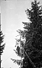 1956_Croce d'Aune-alzabandiera_3.jpg