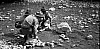1956-7-8giu--rip-smdrovere-uscita-riparto-a-pagnano-al-torrente-4.jpg