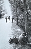 1956-7-lug-rip-smdrovere-missione-rio-serva-sq-castori-riposo-lungo-strada_2.jpg