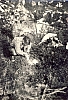 1957_RipMDR_AttivitaAllaMadonnetta_MarioFavaretto.jpg