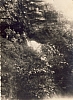 1957-rip-smdrovere-campo-arco-teso_taibon- sq in uscita alla cascata dell'inferno.jpg