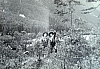 1957-rip-smdrovere-campo-arco-teso_taibon-5-grande-gioco.jpg