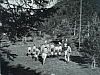 1957-rip-smdrovere-campo-arco-teso_taibon-9-quadrato-di-riparto.jpg