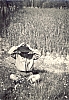 1958_RipMDR_GiocoAllaMadonnetta_MarioFavaretto.jpg