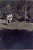 1958 valle di slucano rip smdr checco e gigi.jpg