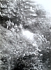 1958-rip-smdrovere-campo-sentiero-divide_valle-san-lucano_4_uscita-cascata-inferno-sq-castoro.jpg