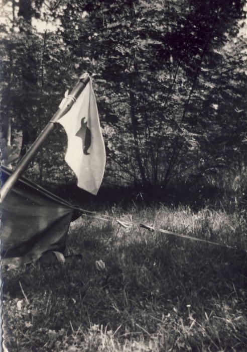 1962_SGiorgio_villaMargherita_2.jpg