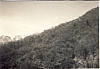 1963 uscita alta sq sPioX a possagno-possagno verso monte pallone_2.jpg