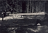 1963 Gares - Campo della sorgente- ripsPioXgioco dello spogliarello.jpg