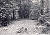 1964 lorenzago uscita alte sq tv2 posto campo_9.jpg