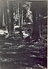 1964 rip MDRovere - campo della valle solitaria - lorenzago - sq Castoro in uscita2.jpg