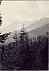 1964 rip MDRovere - campo della valle solitaria - lorenzago - veduta di Val di Rave.jpg