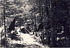 1964 Lorenzago- campo valle solitaria-angolo delle manguste.jpg