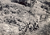 1964 Lorenzago- campo valle solitaria-sul passo mauria uscita di rip verso forni x BA bimbi vajont_2.jpg