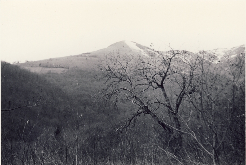 1964 uscita alta sq s pioX-possagno san rocco_11.jpg