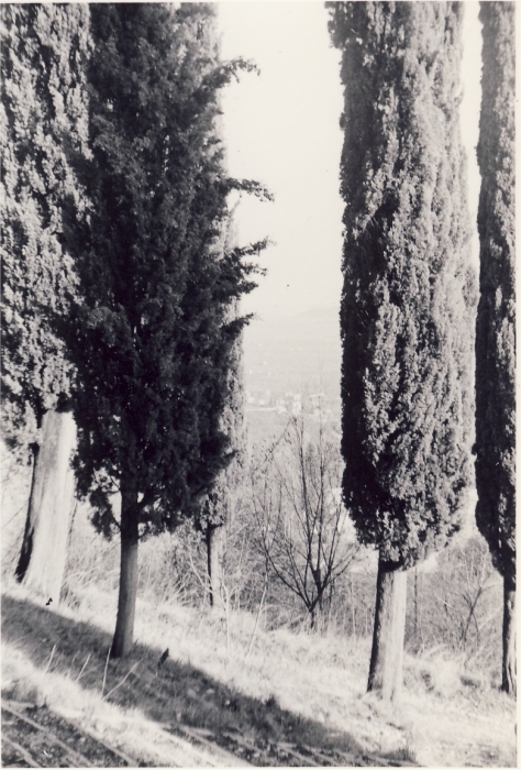 1964 uscita alta sq s pioX-possagno san rocco_14.jpg