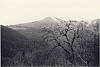 1964 uscita alta sq s pioX-possagno san rocco_11.jpg