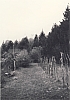 1964 uscita alta sq s pioX-possagno san rocco_13.jpg