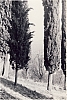 1964 uscita alta sq s pioX-possagno san rocco_14.jpg