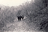 1964 uscita alta sq s pioX-possagno san rocco_7.jpg
