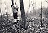  1964 uscita di sq Gheppio di sPioX a silea_2.jpg