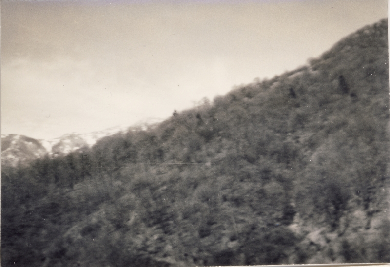 1966 rip sPioX - uscita di alta sq a villa viola - panorama2.jpg