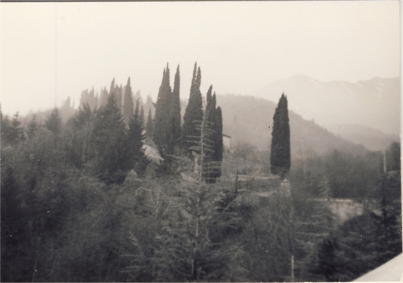 1966 rip sPioX - uscita di alta sq a villa viola - panorama3.jpg