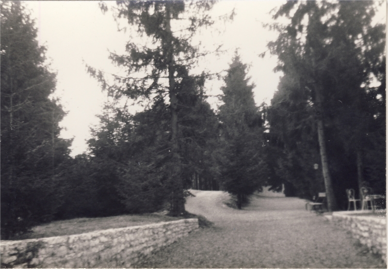 1966 rip sPioX - uscita di alta sq a villa viola - panorama5.jpg