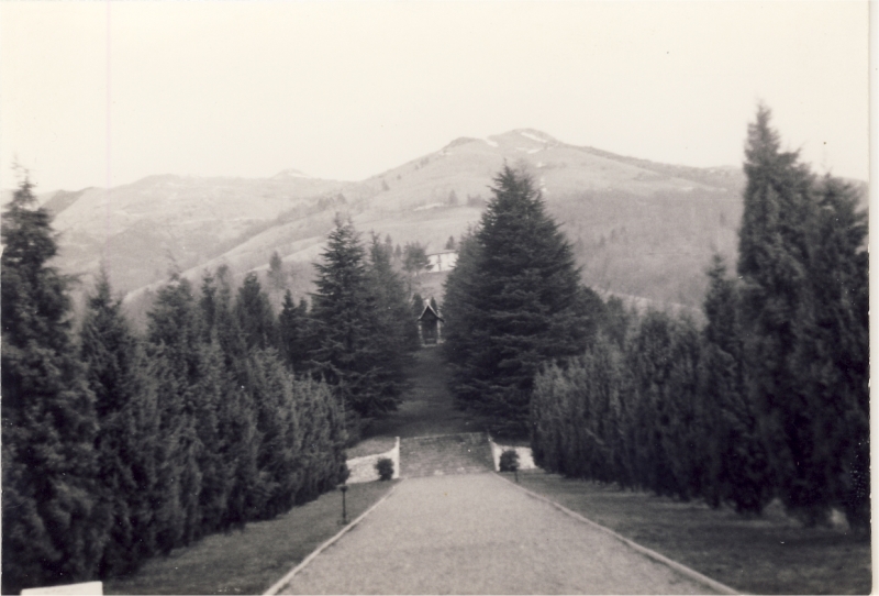 1966 rip sPioX - uscita di alta sq a villa viola - panorama6.jpg
