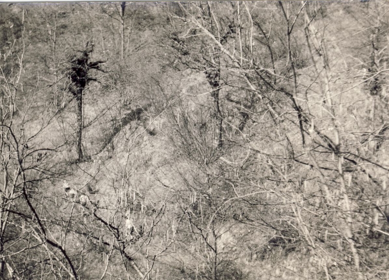 1966 uscita rip sPioX a possagnovilla viola_5.jpg