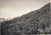 1966 rip sPioX - uscita di alta sq a villa viola - panorama2.jpg
